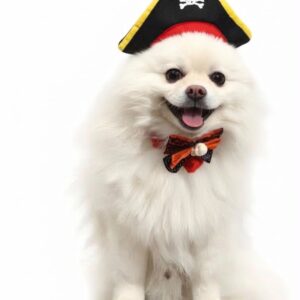 Disfraz Para Mascota Pirata X1