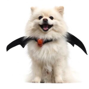 Disfraz Alas De Murcielago Para Mascotas X1